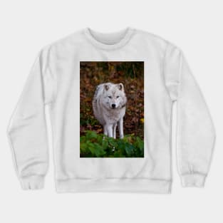 Arctic Wolf Crewneck Sweatshirt